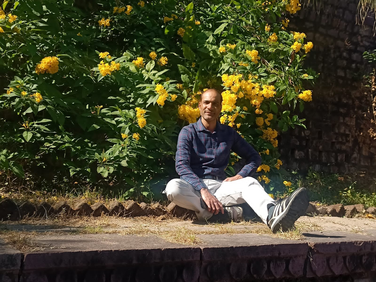 College Picnic